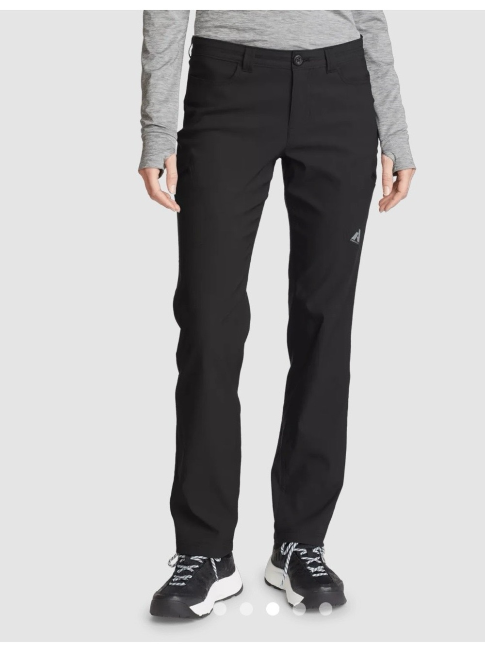 EUC Eddie Bauer Women's Guide Pro Pants—sz 10 Tall